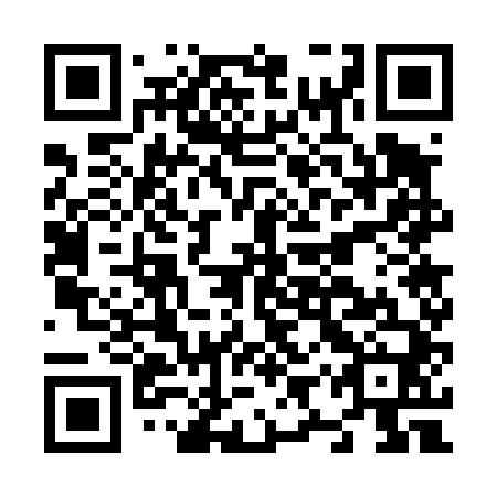 QR code for plate N9W 440