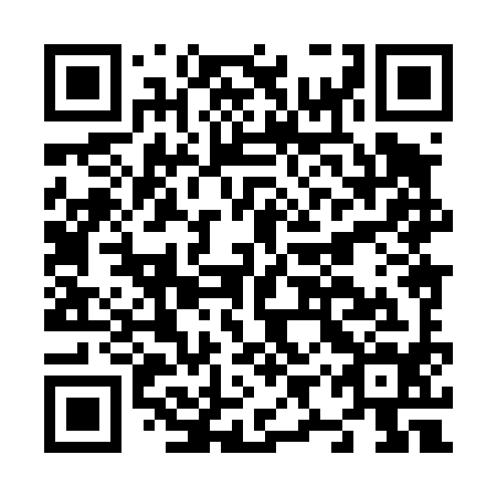 QR code for N9X 494