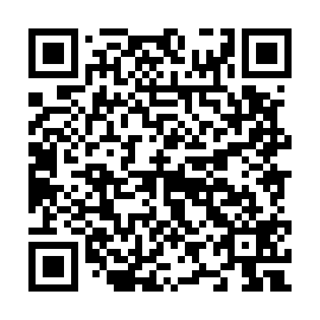QR code for N9X 519