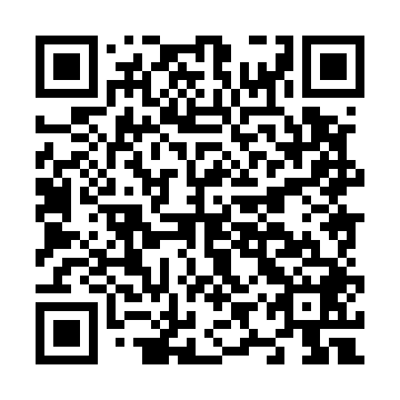 QR code for N9X 548