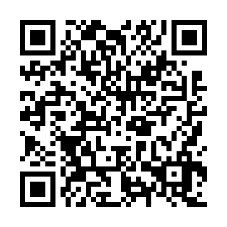 QR code for plate N9X 636
