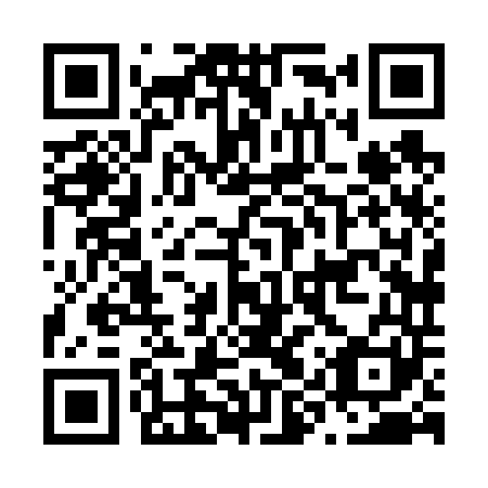 QR code for plate N9X 641