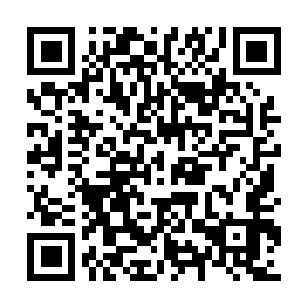 QR code for plate N9Y 053