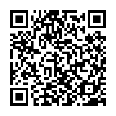 QR code for plate N9Y 211