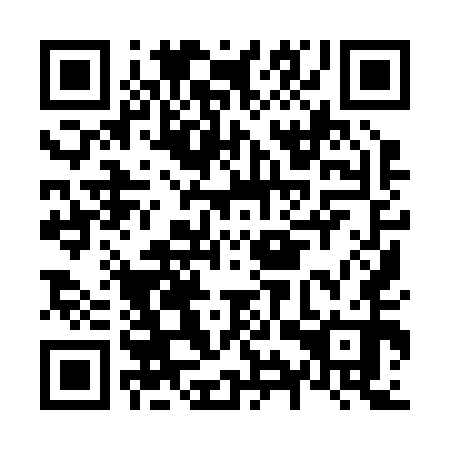 QR code for plate N9Y 250