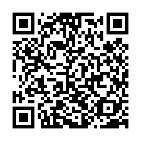 QR code for plate N9Y 429