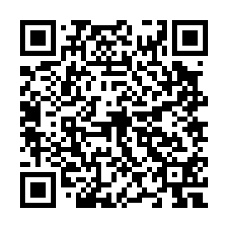 QR code for N9Z 010