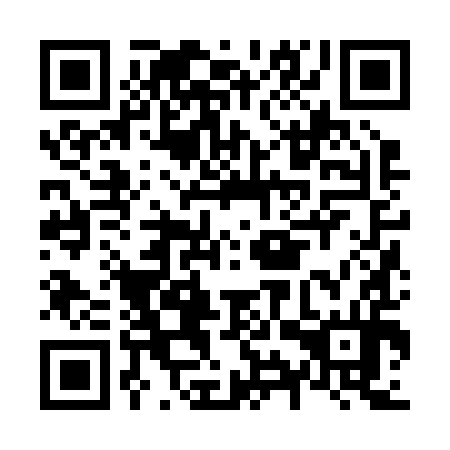 QR code for N9Z 294