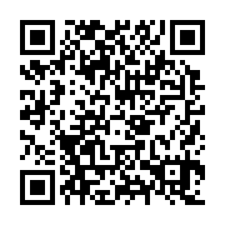 QR code for N9Z 335