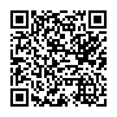 QR code for N9Z005