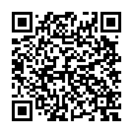 QR code for plate N9Z 029
