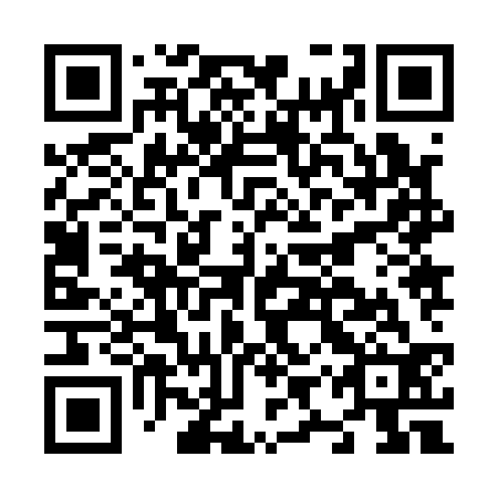 QR code for plate N9Z 132