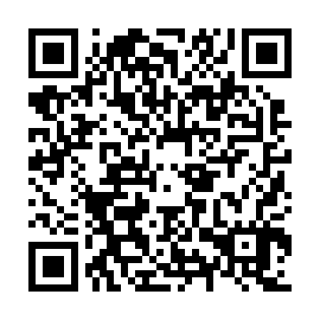 QR code for plate N9Z 207