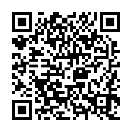 QR code for plate N9Z 250