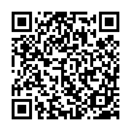 QR code for plate N9Z 403