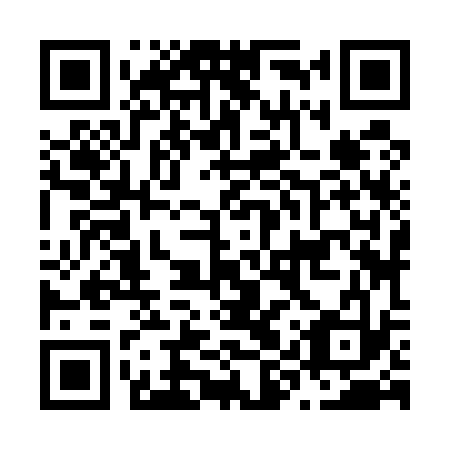 QR code for plate N9Z 533