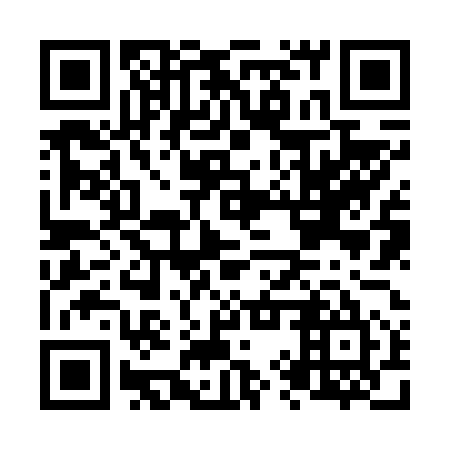 QR code for plate N9Z 655