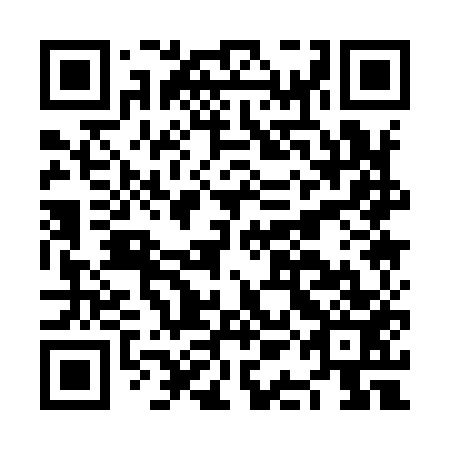 QR code for NAA 953