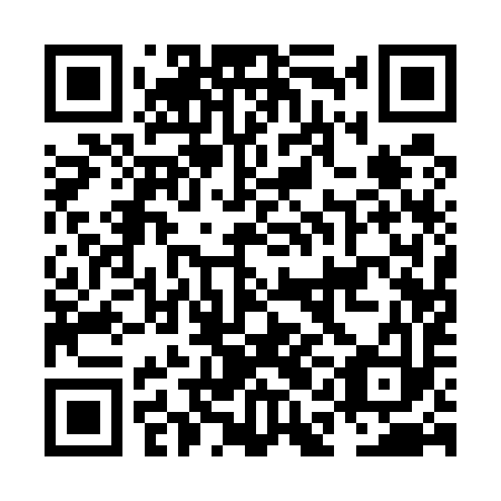 QR code for plate NAA 593