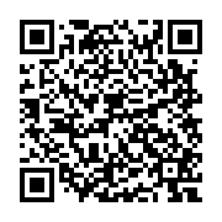 QR code for plate NAB 101