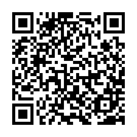 QR code for plate NAD 382