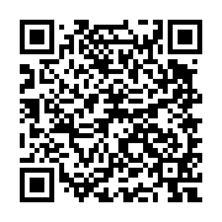 QR code for NAE 491