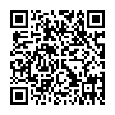 QR code for NAE 919