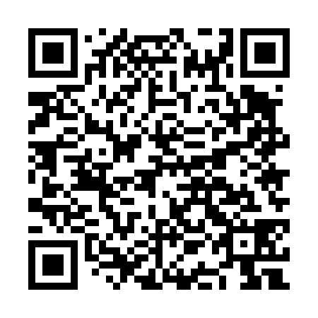 QR code for NAE438