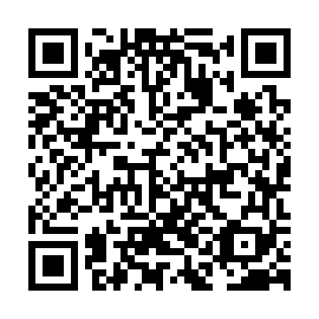 QR code for plate NAK 369