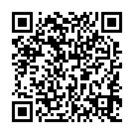QR code for NAL 251