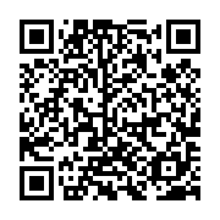 QR code for NAL 495