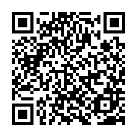 QR code for NAM 382