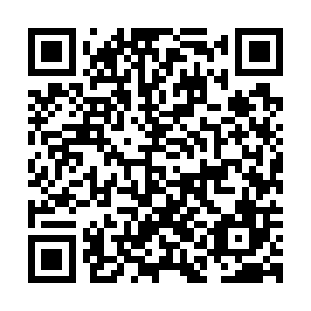 QR code for plate NAM 706