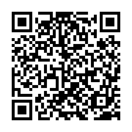 QR code for plate NAN 253