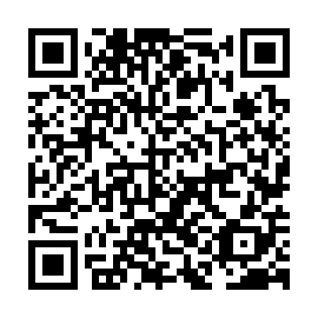 QR code for plate NAN 308