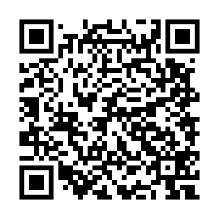 QR code for plate NAN 519