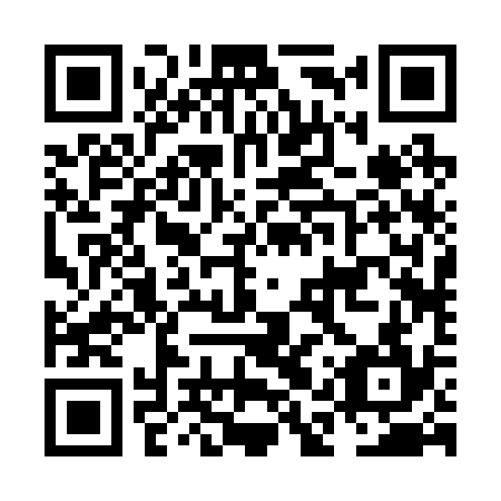 QR code for NAR 234