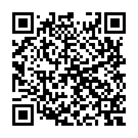 QR code for plate NAS 911