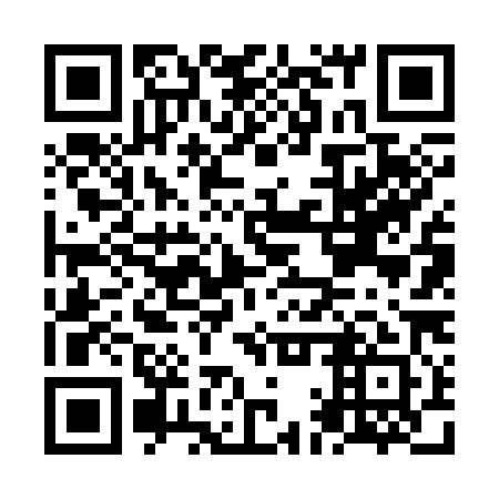 QR code for NAV 381