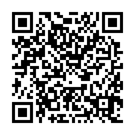 QR code for NAV 384