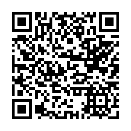 QR code for NAV 687