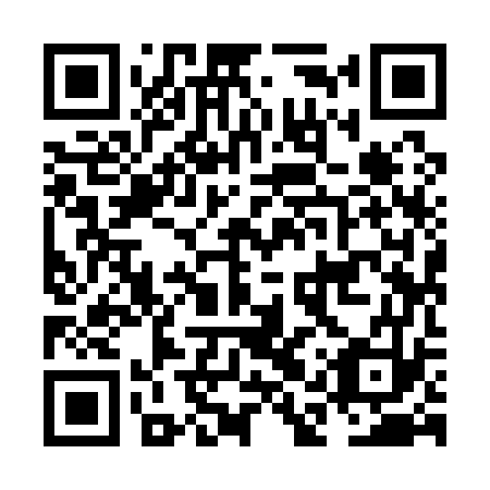 QR code for plate NAY 173
