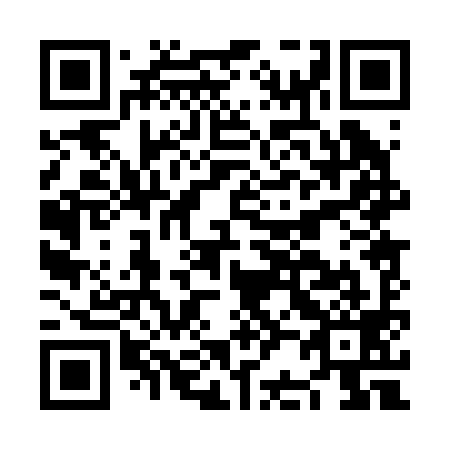 QR code for plate NB 0299