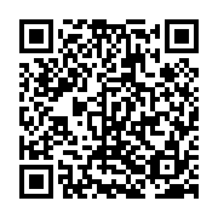 QR code for plate NBG 032