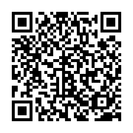 QR code for plate NBG 520