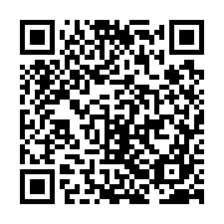 QR code for plate NBG 767