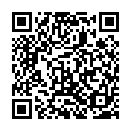 QR code for plate NBI 113