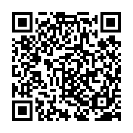 QR code for plate NBI 617