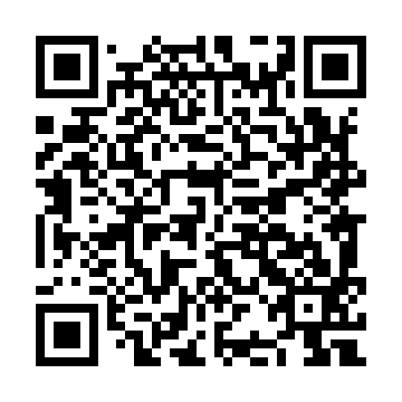 QR code for plate NBL 993