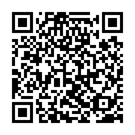 QR code for plate NBS 739
